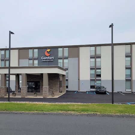 Comfort Inn & Suites Wyomissing-Reading Eksteriør billede
