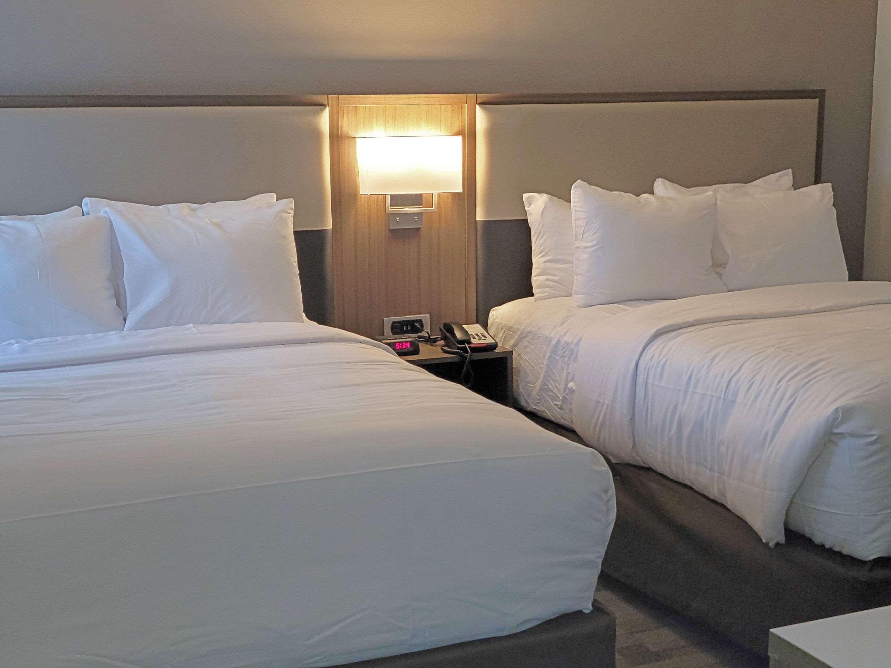 Comfort Inn & Suites Wyomissing-Reading Eksteriør billede